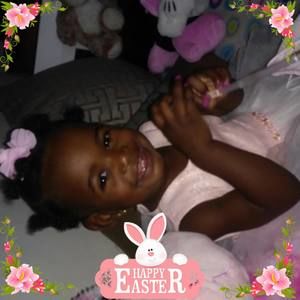 Meet your Posher, Thomasina